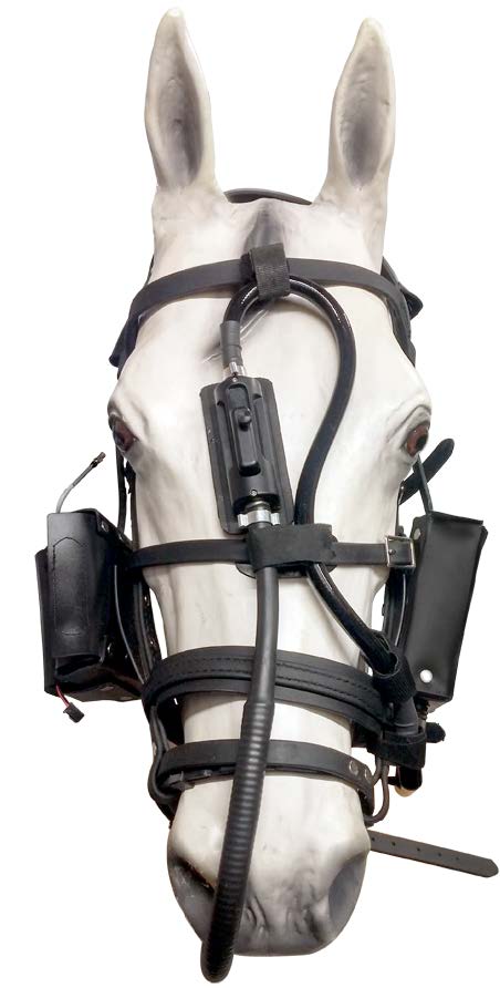 [DK]Tele View Dynamic, Equine Exercise Endoscope